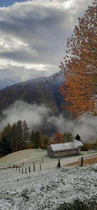 Graziosa, Casetta In Valgerola Rasura Luaran gambar