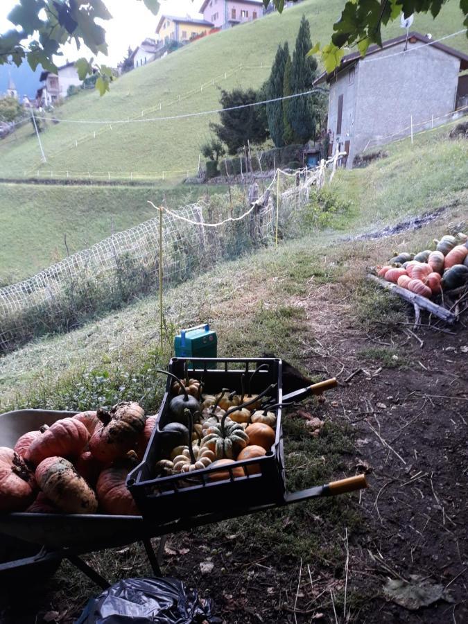 Graziosa, Casetta In Valgerola Rasura Luaran gambar